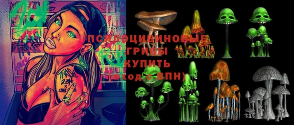 герыч Сафоново